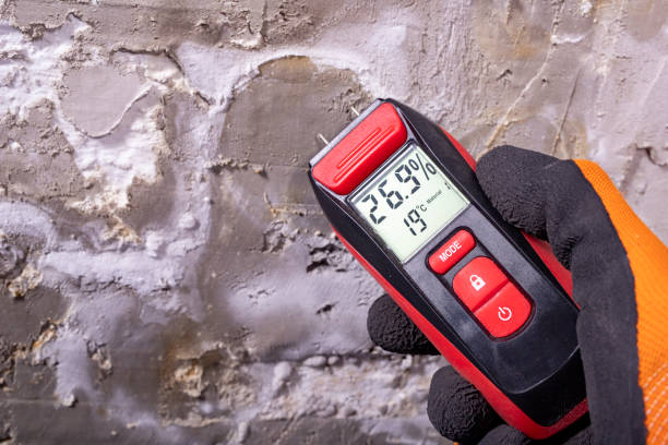 Best Mold Testing  in Sparta, IL