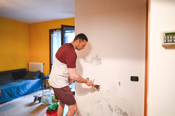 Best Mold Removal Company Near Me  in Sparta, IL