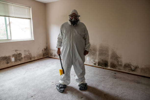 Best Commercial Mold Removal  in Sparta, IL